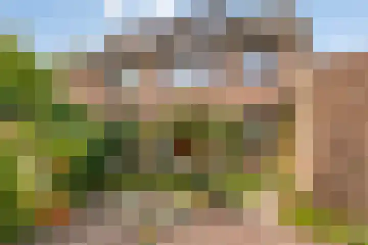 De Loop 9 Veldhoven thumbnail 43