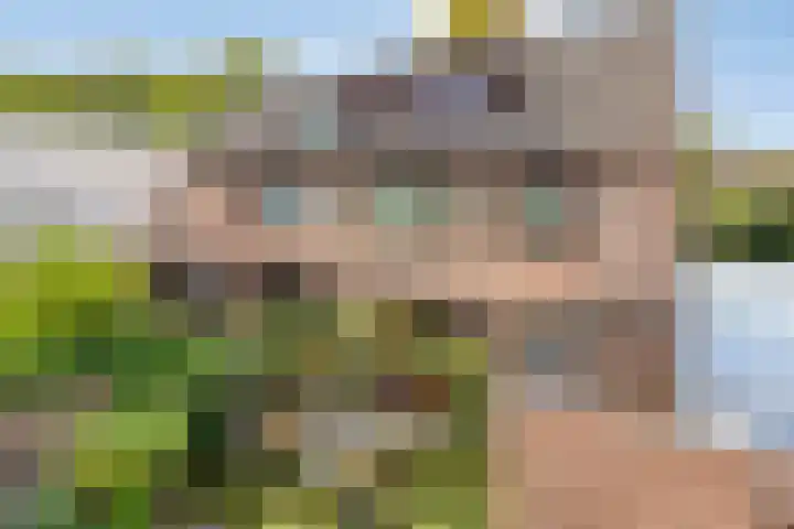 De Loop 9 Veldhoven thumbnail 49