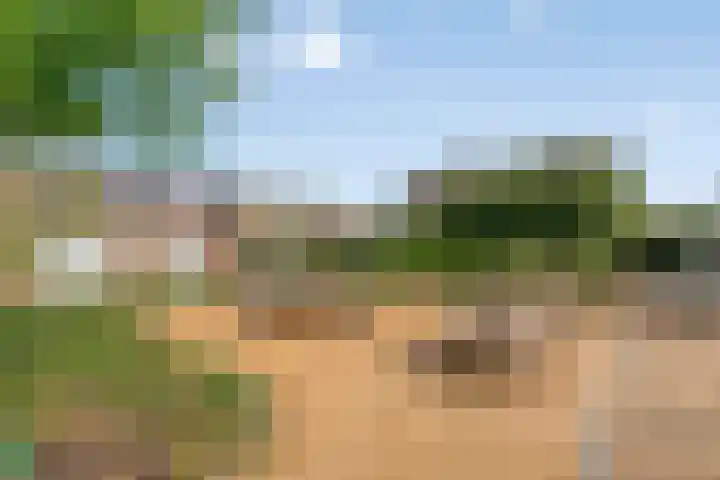 De Loop 9 Veldhoven thumbnail 53