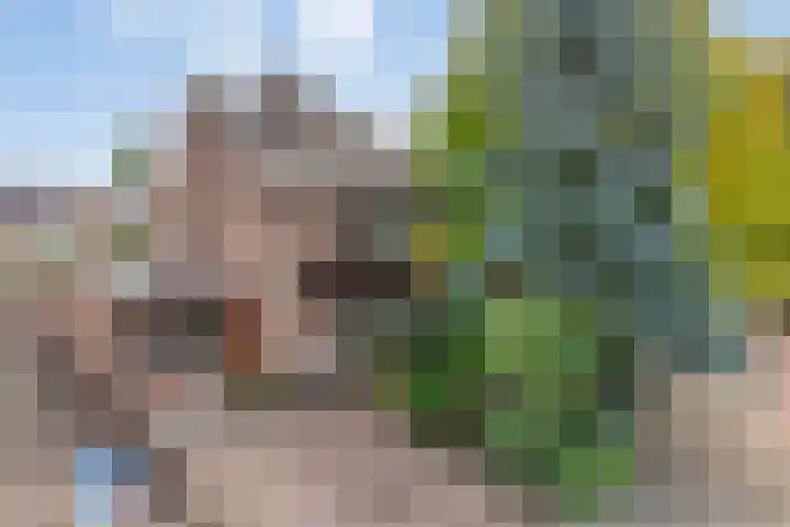 De Loop 9 Veldhoven thumbnail 8