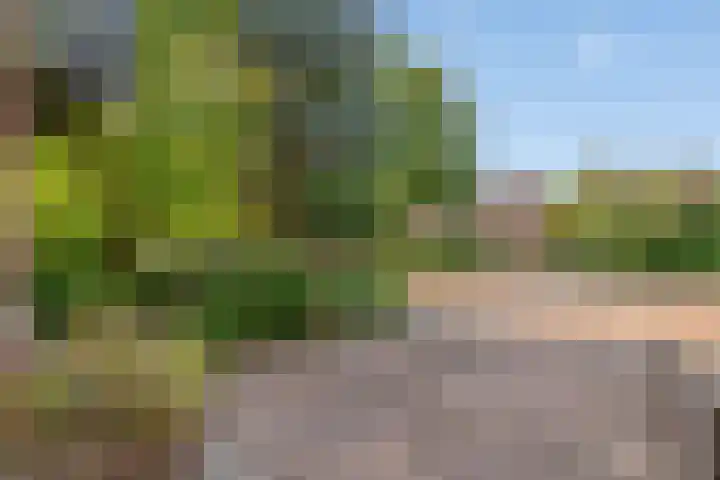 De Loop 9 Veldhoven thumbnail 9