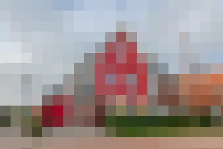 De Loper 17 Assendelft