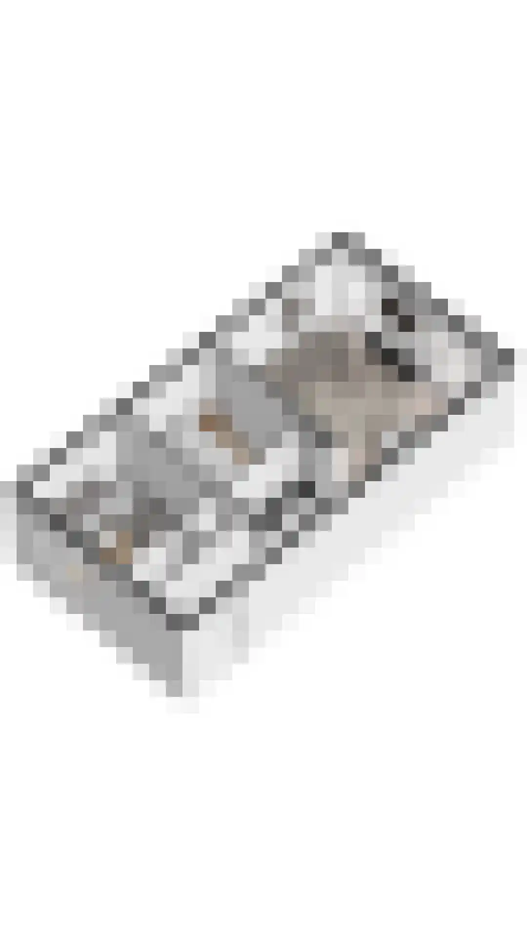De Lopinge 11 Cadzand thumbnail 17
