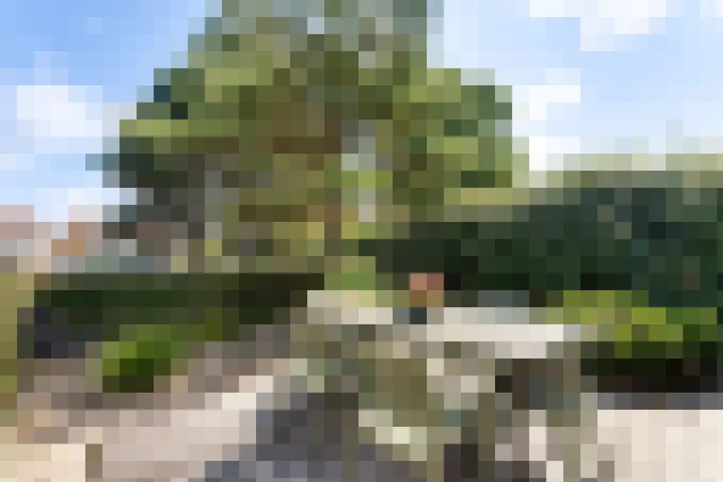 De Lopinge 11 Cadzand thumbnail 6