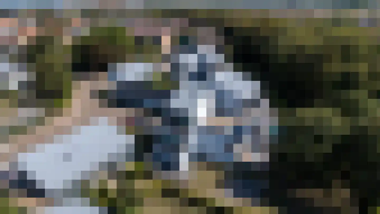 De Lopinge 67 Cadzand thumbnail 7