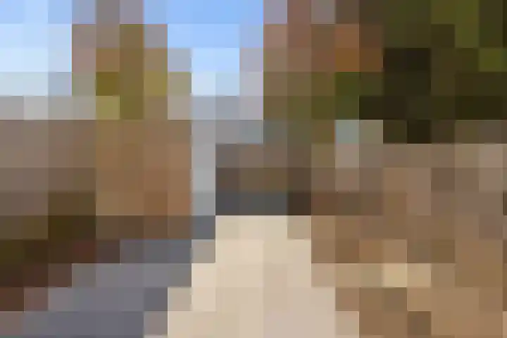 De Louterlaan 10 Utrecht thumbnail 12