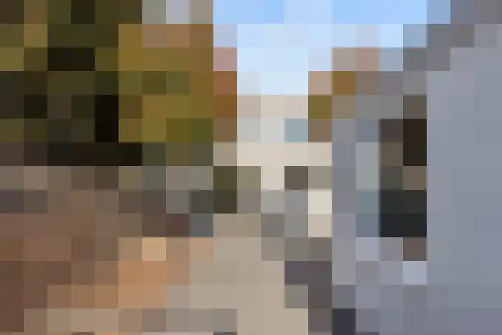 De Louterlaan 10 Utrecht thumbnail 17