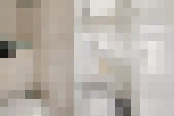 De Louterlaan 10 Utrecht thumbnail 24