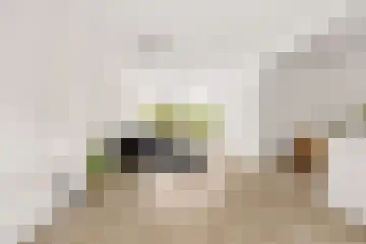 De Louterlaan 10 Utrecht thumbnail 8