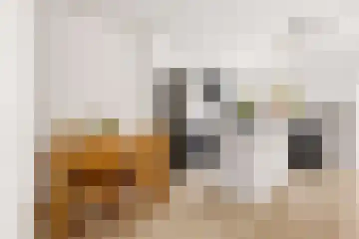 De Louterlaan 10 Utrecht thumbnail 9