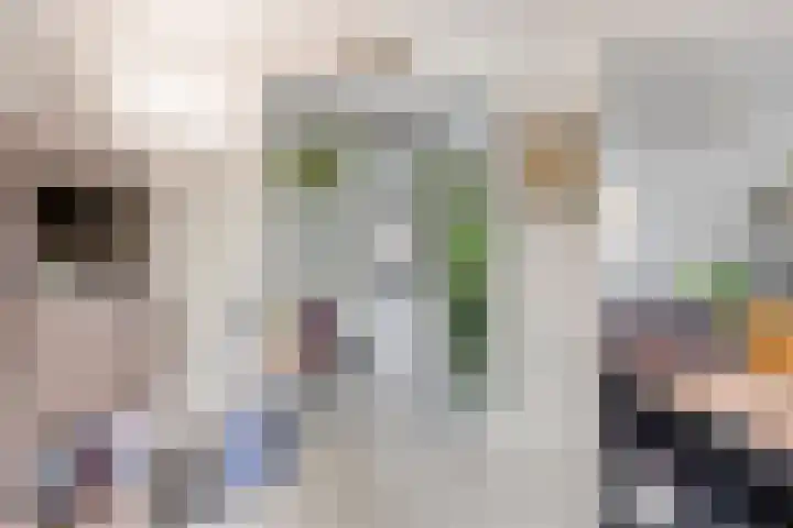de Louterstraat 4 Eindhoven thumbnail 15