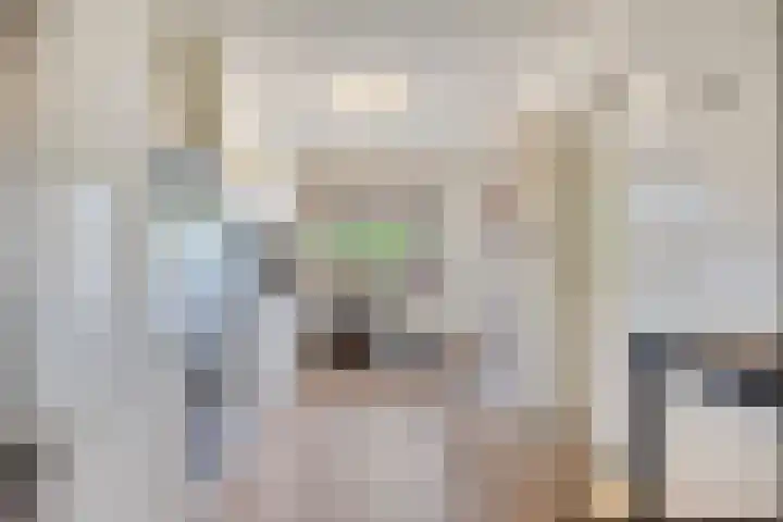 de Louterstraat 4 Eindhoven thumbnail 17