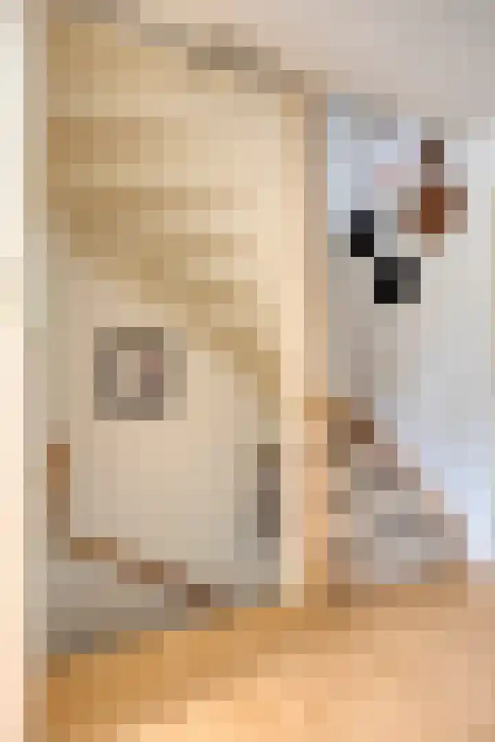 de Louterstraat 4 Eindhoven thumbnail 21