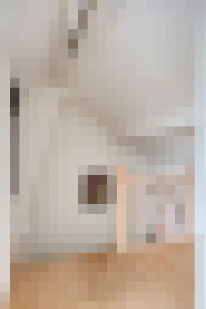 de Louterstraat 4 Eindhoven thumbnail 34