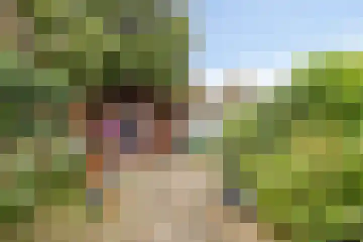 de Louterstraat 4 Eindhoven thumbnail 43