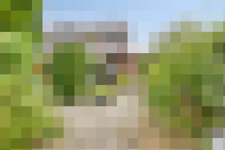 de Louterstraat 4 Eindhoven thumbnail 44