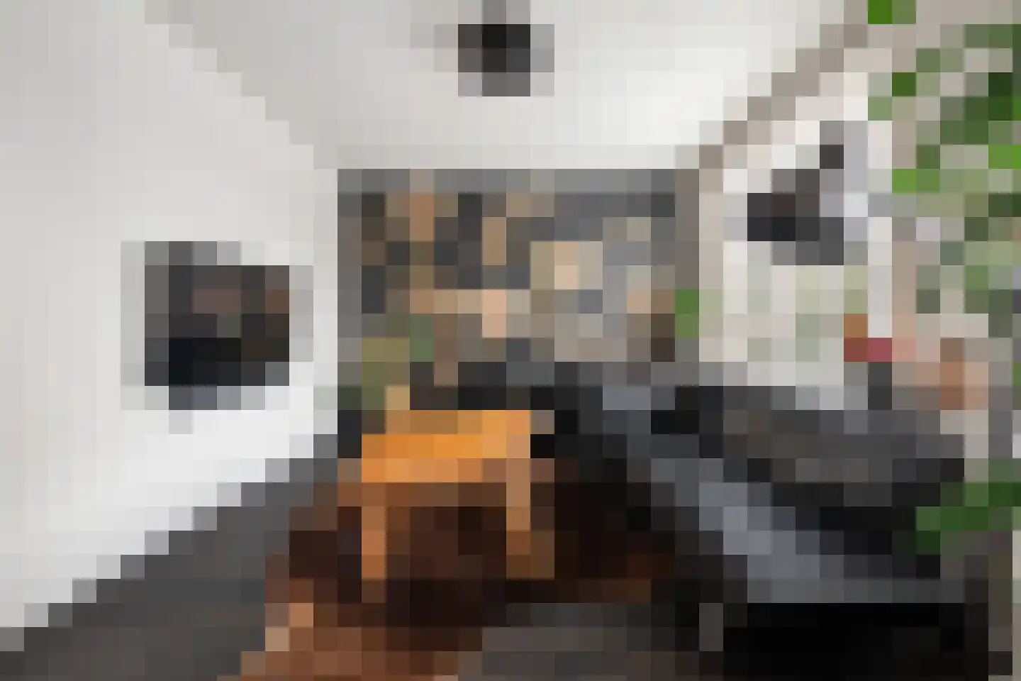 De Lugt 16 Rotterdam thumbnail 13