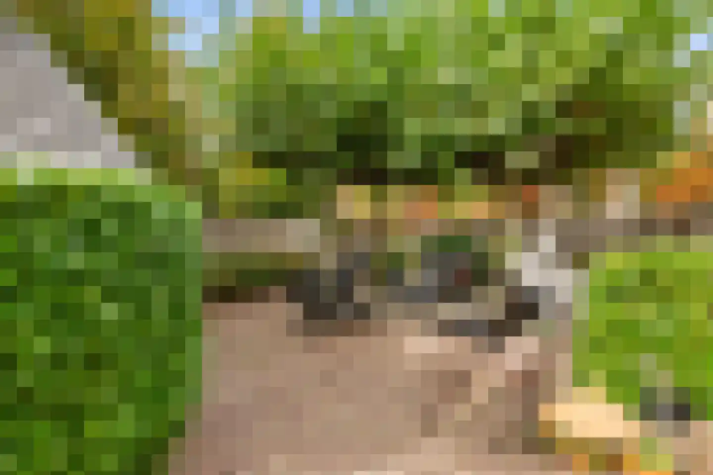 De Lugt 16 Rotterdam thumbnail 23