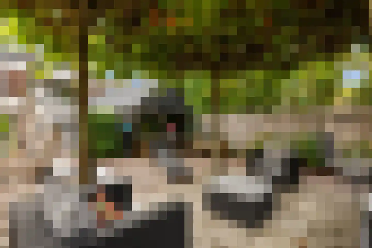De Lugt 16 Rotterdam thumbnail 28
