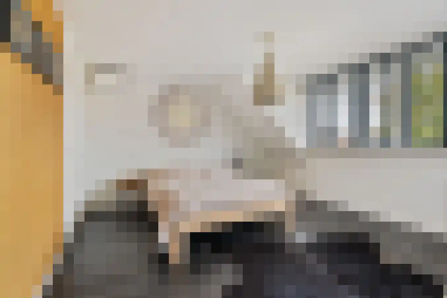 De Lugt 16 Rotterdam thumbnail 33