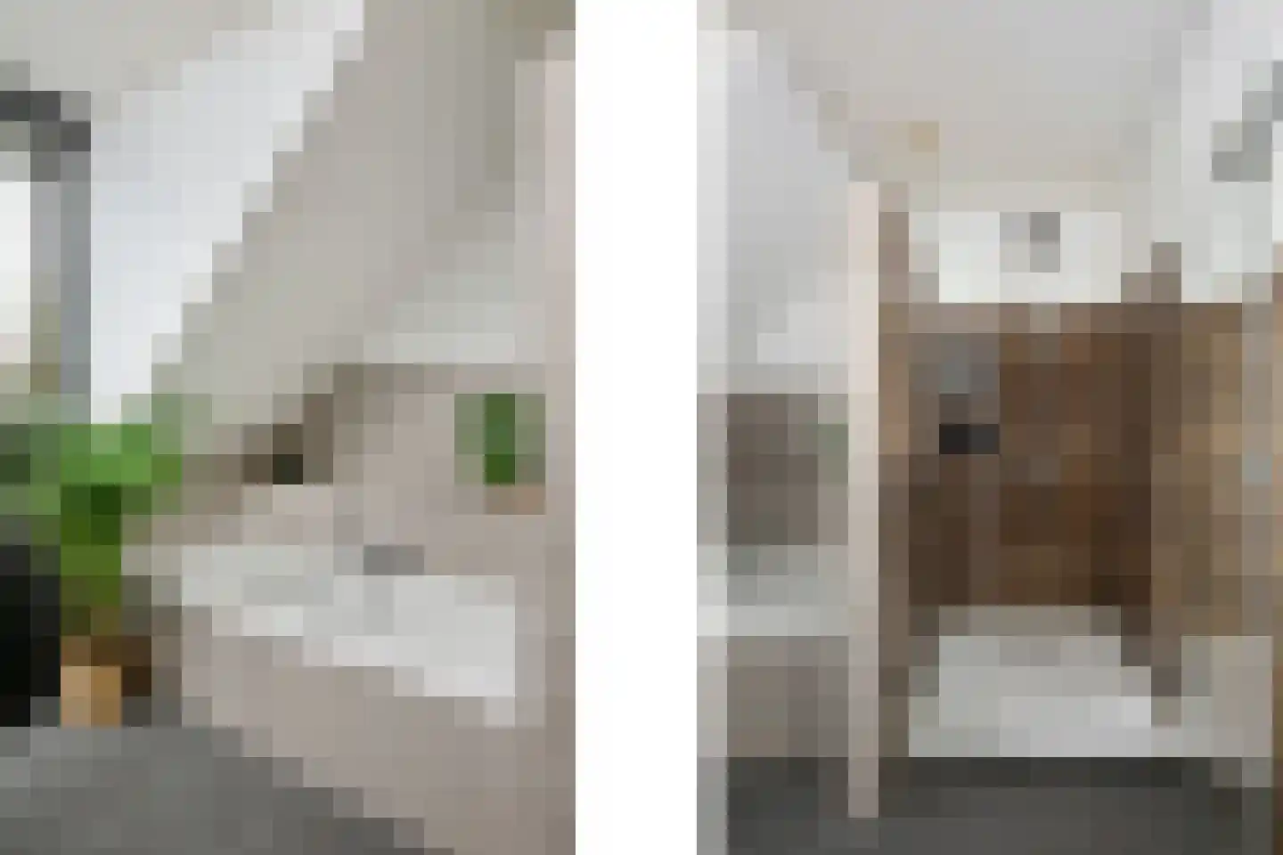 De Lugt 16 Rotterdam thumbnail 41
