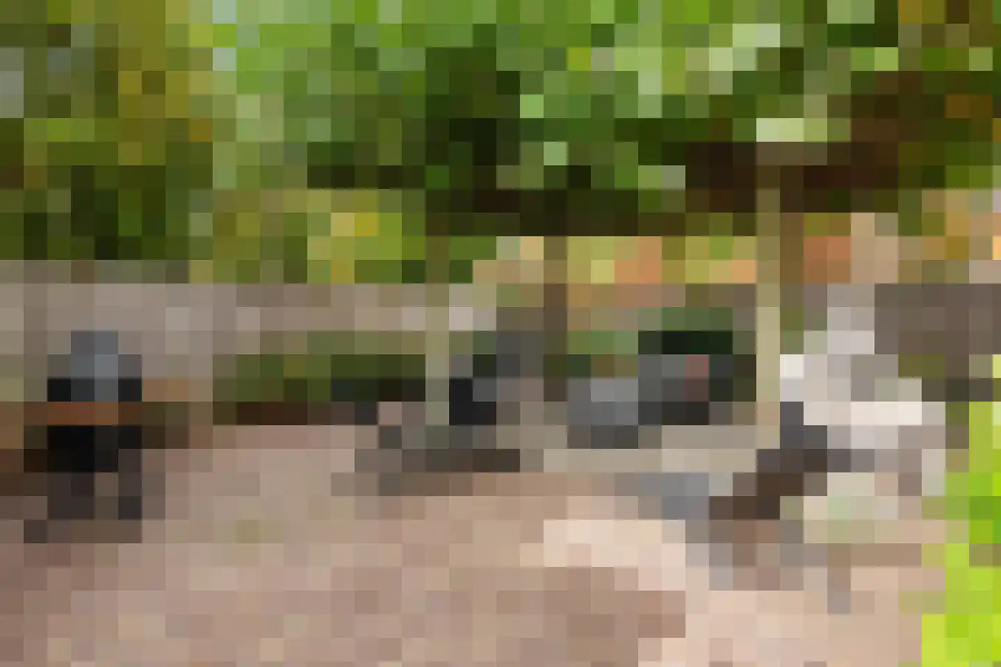 De Lugt 16 Rotterdam thumbnail 5