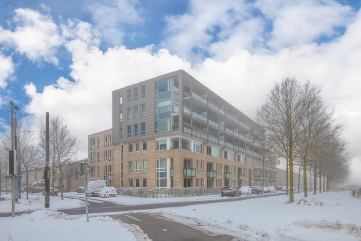 De Maaidorser 3 in Arnhem foto