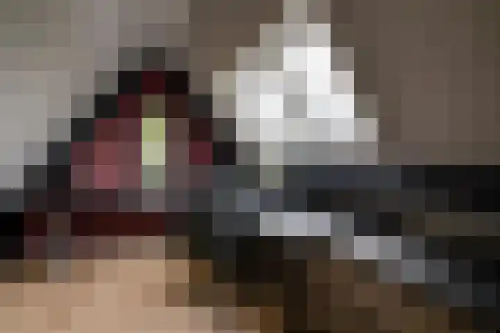De Maat 8 d Woudenberg thumbnail 39