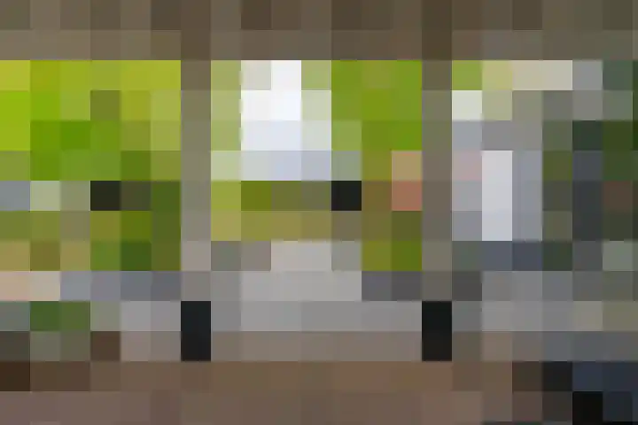 De Maat 8 d Woudenberg thumbnail 45