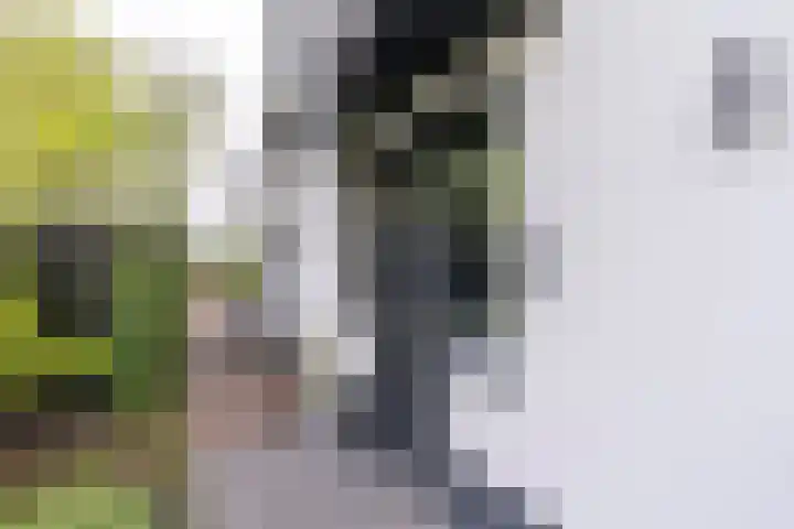 De Maat 8 d Woudenberg thumbnail 7