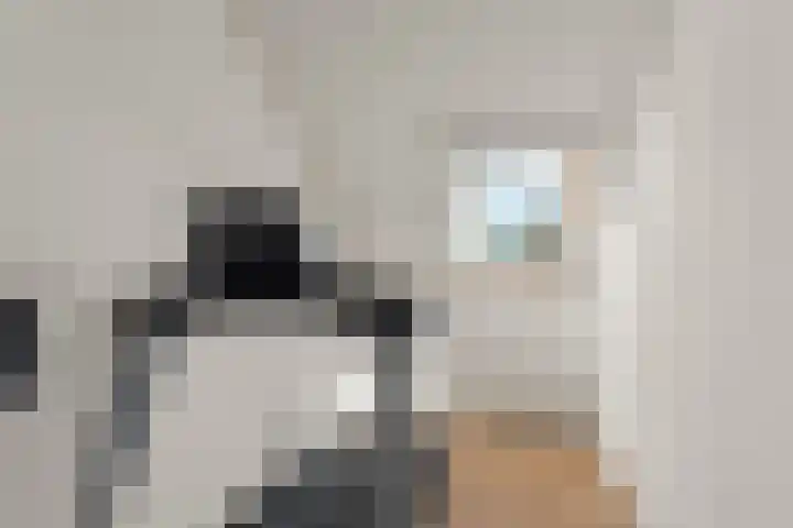 De Maatjes 81 Duiven thumbnail 20