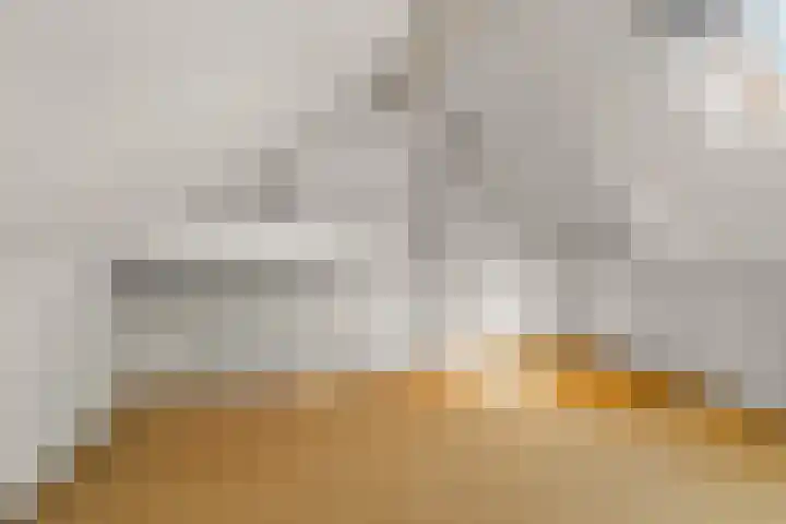 De Maatjes 81 Duiven thumbnail 22