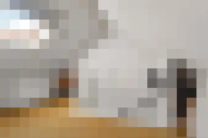 De Maatjes 81 Duiven thumbnail 24