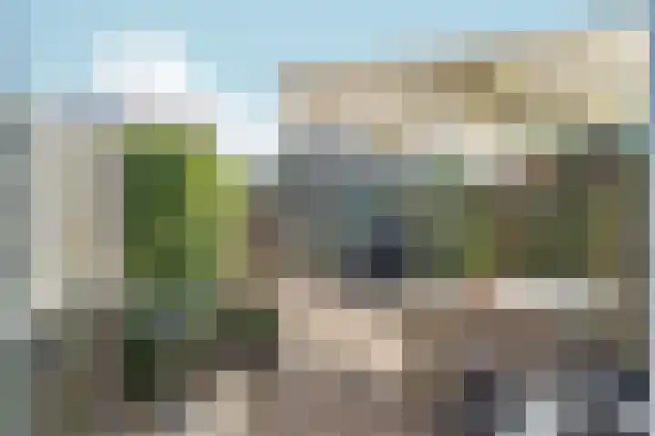 De Maatjes 81 Duiven thumbnail 25
