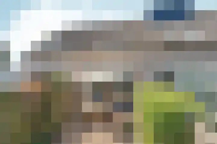 De Maatjes 81 Duiven thumbnail 27