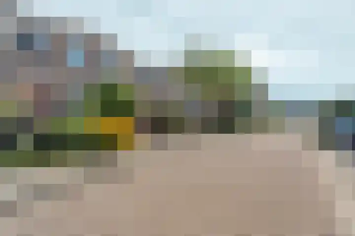 De Maatjes 81 Duiven thumbnail 29