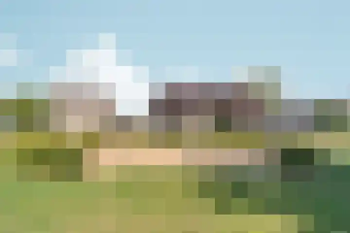 De Maatjes 81 Duiven thumbnail 33