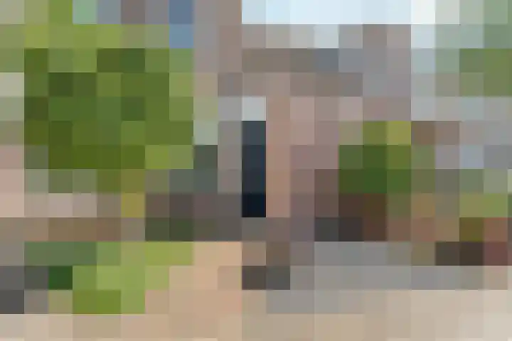 De Maatjes 81 Duiven thumbnail 5
