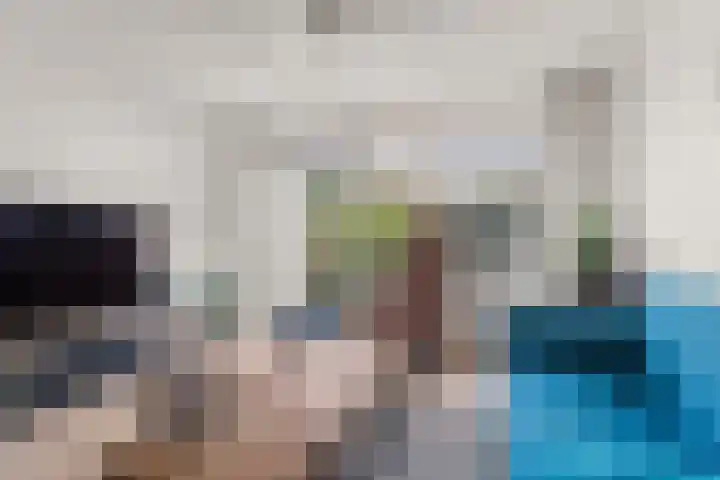 De Maatjes 81 Duiven thumbnail 9
