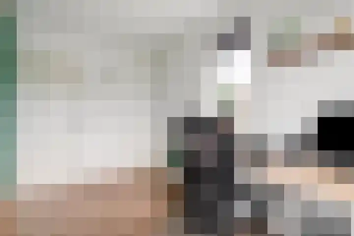 Team foto van De Makelaers | Amsterdam