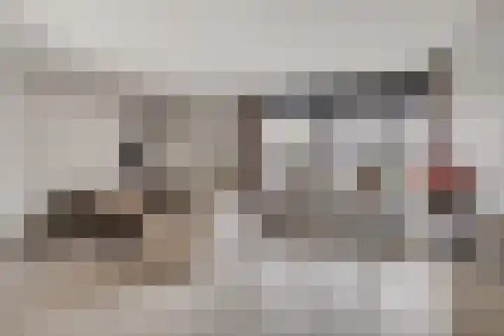 de Mandenmaker 17 Heeze thumbnail 10