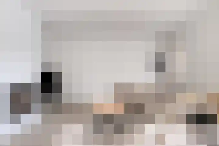 de Mandenmaker 17 Heeze thumbnail 11