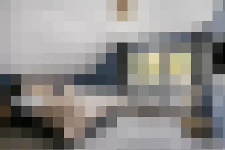 de Mandenmaker 17 Heeze thumbnail 27