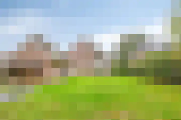 de Mandenmaker 17 Heeze thumbnail 49