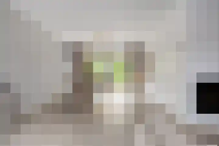 de Mandenmaker 17 Heeze thumbnail 5