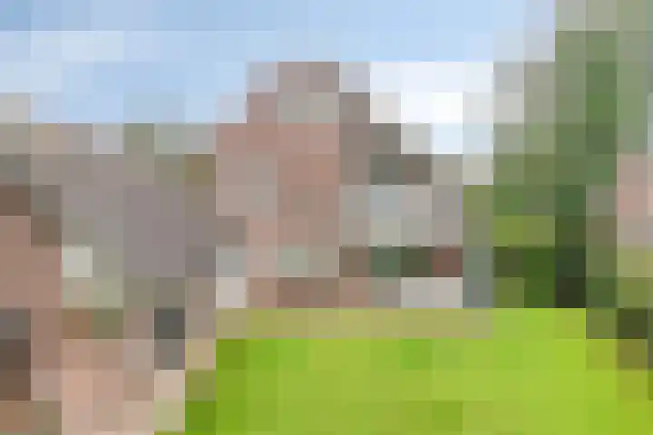 de Mandenmaker 17 Heeze thumbnail 50