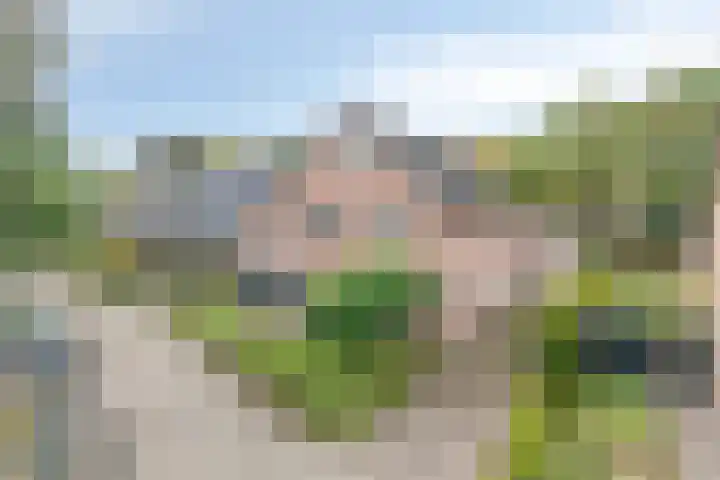 de Mandenmaker 17 Heeze thumbnail 55