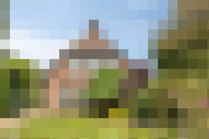 de Mandenmaker 6 Heeze thumbnail 10