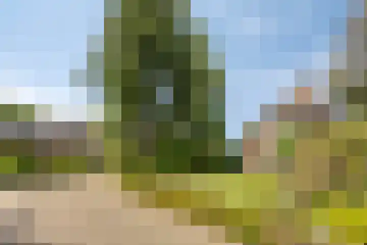 de Mandenmaker 6 Heeze thumbnail 12