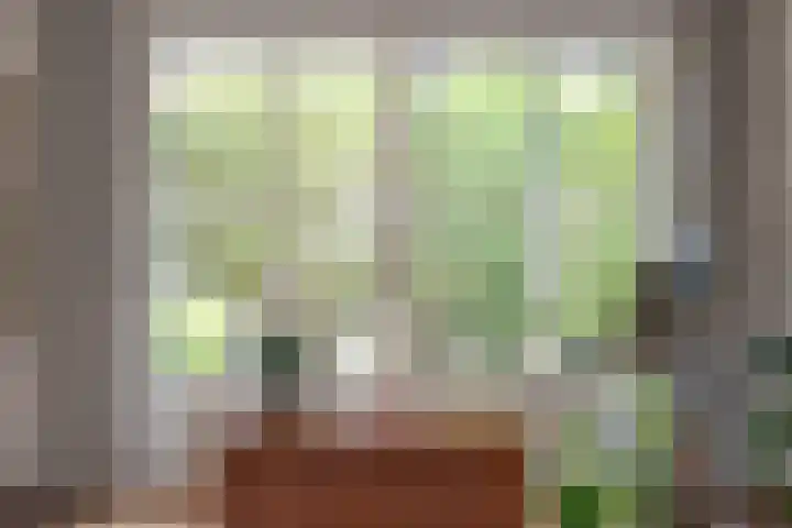 de Mandenmaker 6 Heeze thumbnail 20